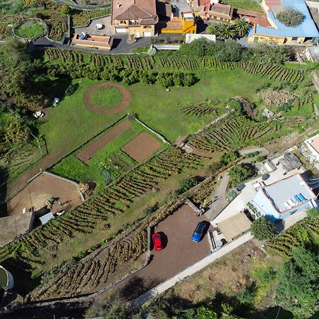 Ek Drago Finca El Milagro La Orotava Eksteriør bilde