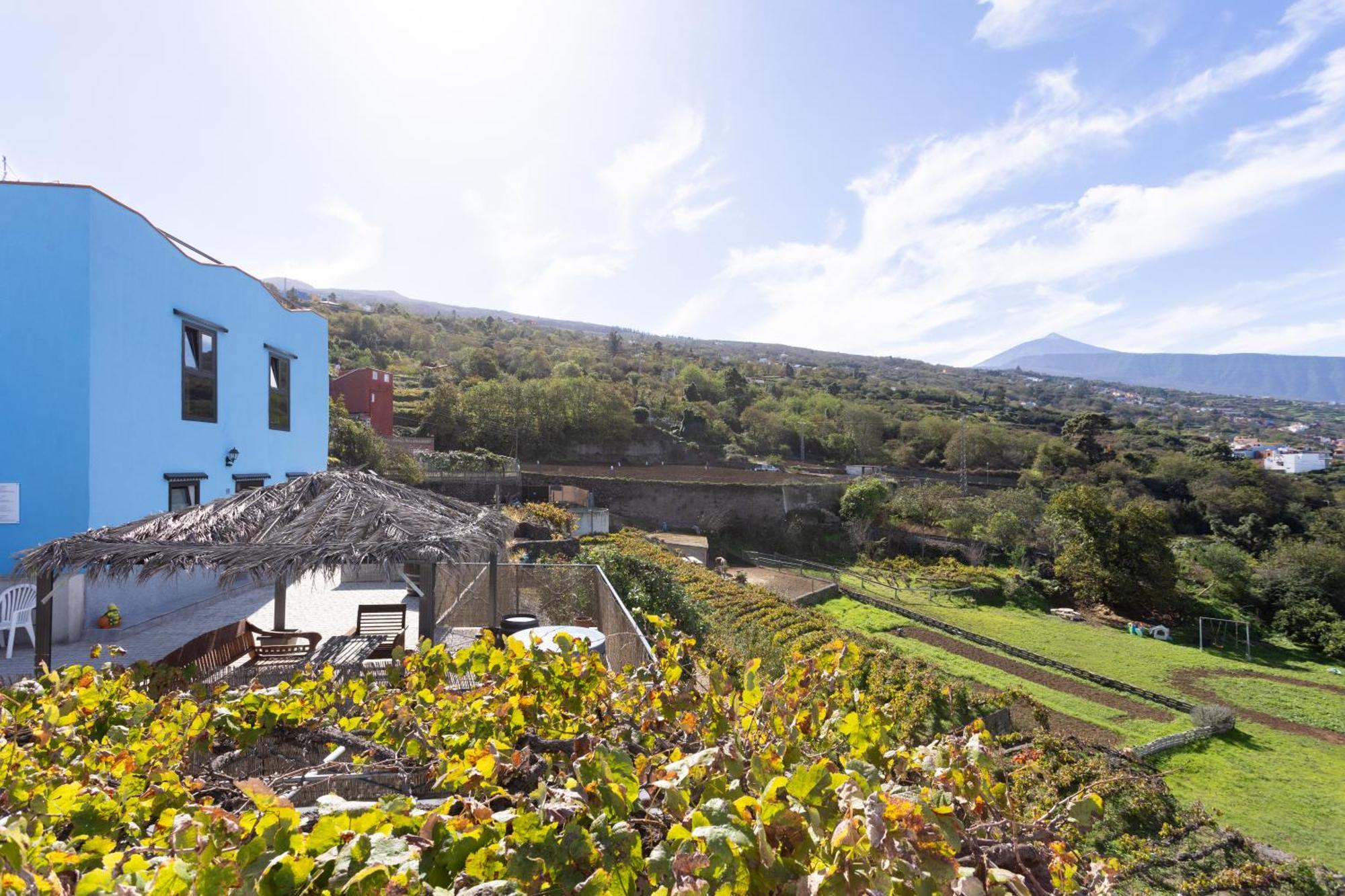 Ek Drago Finca El Milagro La Orotava Eksteriør bilde