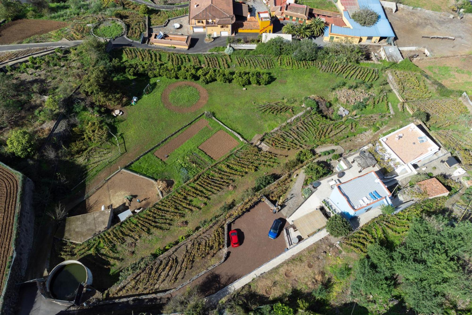 Ek Drago Finca El Milagro La Orotava Eksteriør bilde