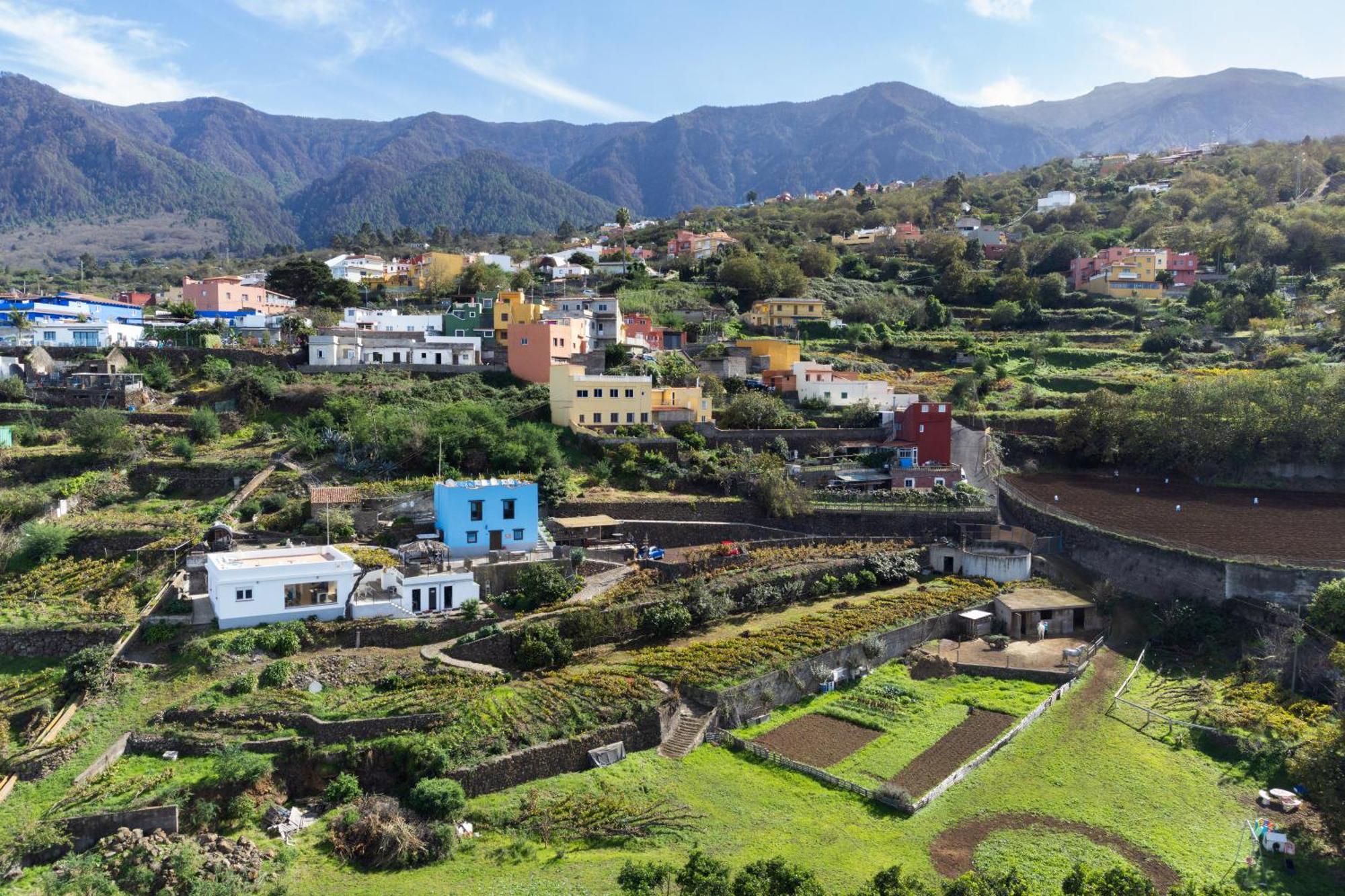 Ek Drago Finca El Milagro La Orotava Eksteriør bilde