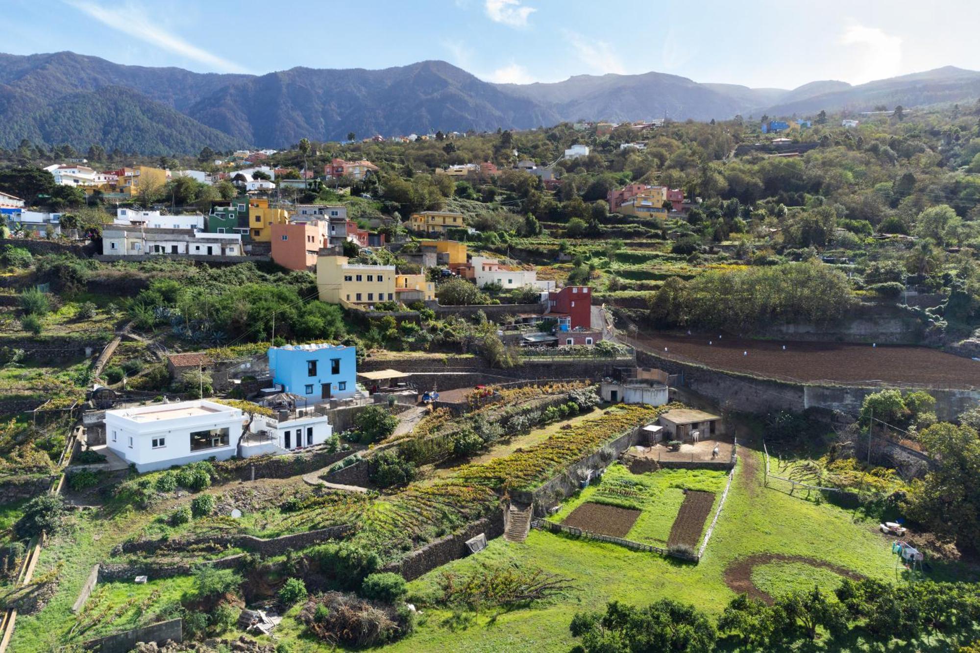Ek Drago Finca El Milagro La Orotava Eksteriør bilde
