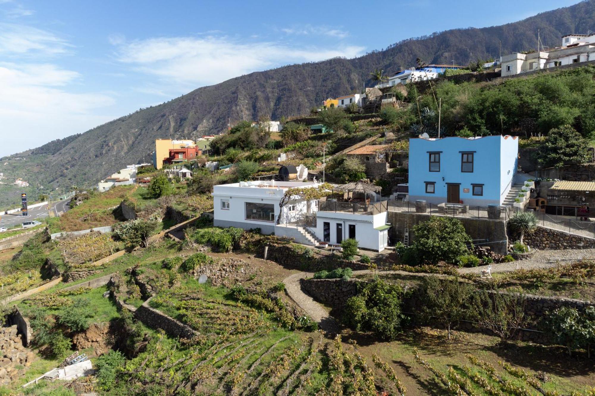 Ek Drago Finca El Milagro La Orotava Eksteriør bilde