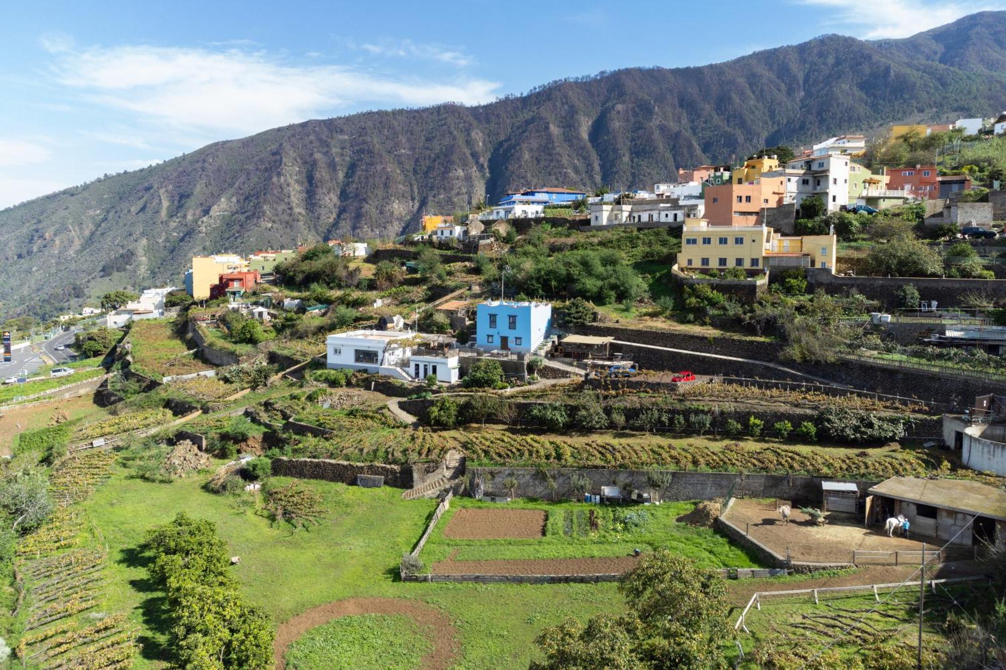 Ek Drago Finca El Milagro La Orotava Eksteriør bilde