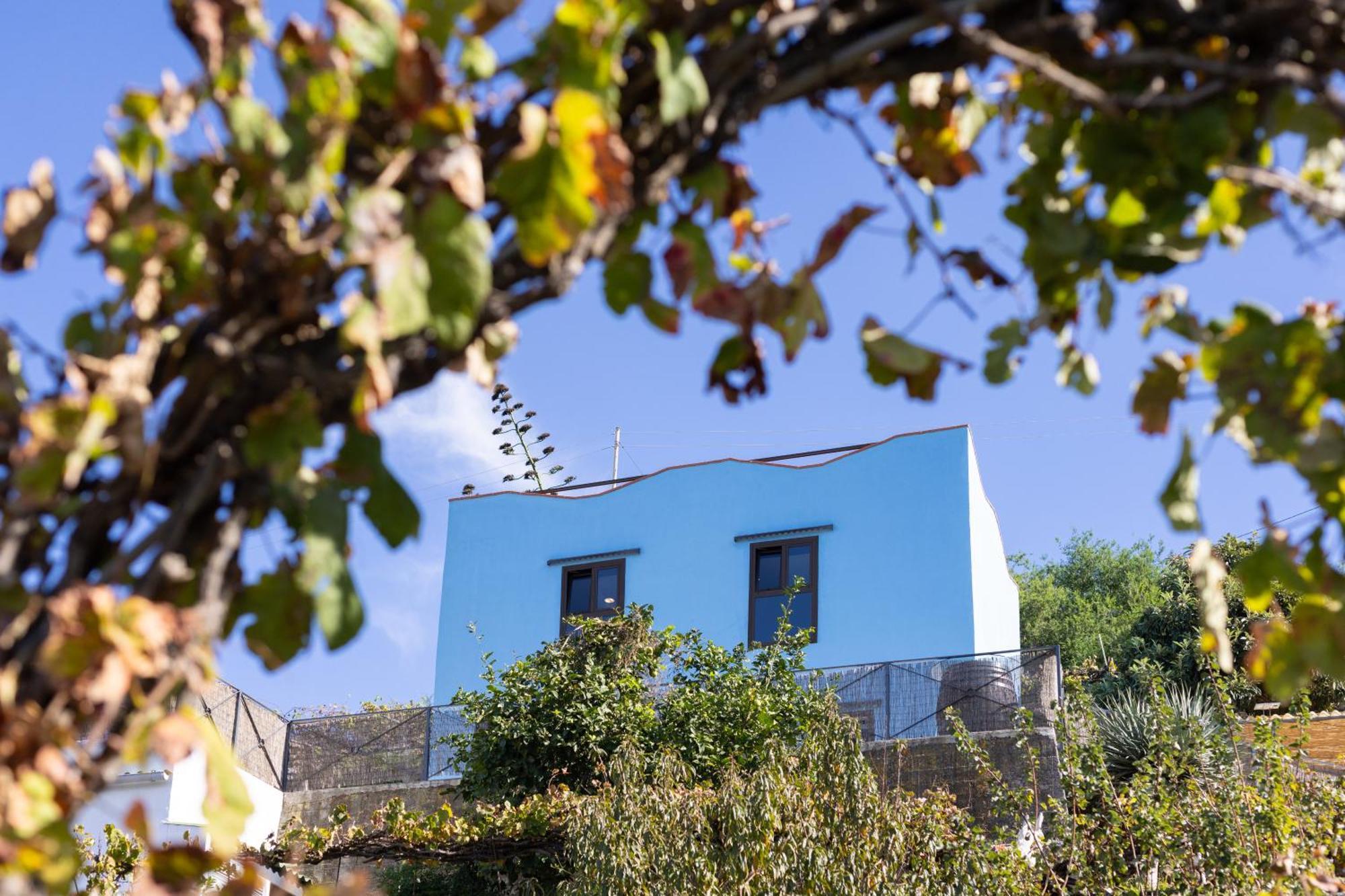 Ek Drago Finca El Milagro La Orotava Eksteriør bilde